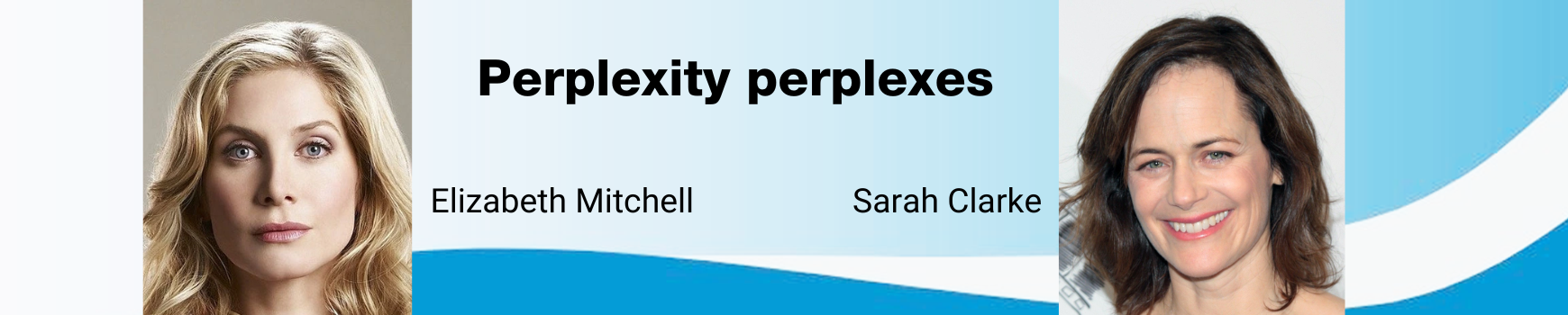 Perplexity perplexes